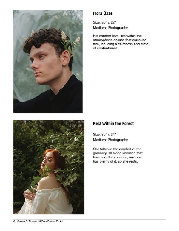 Images of Flora Gaze and Rest Within the Forest